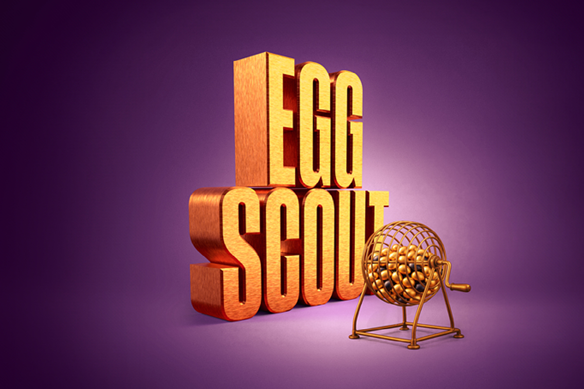 Egg Scout